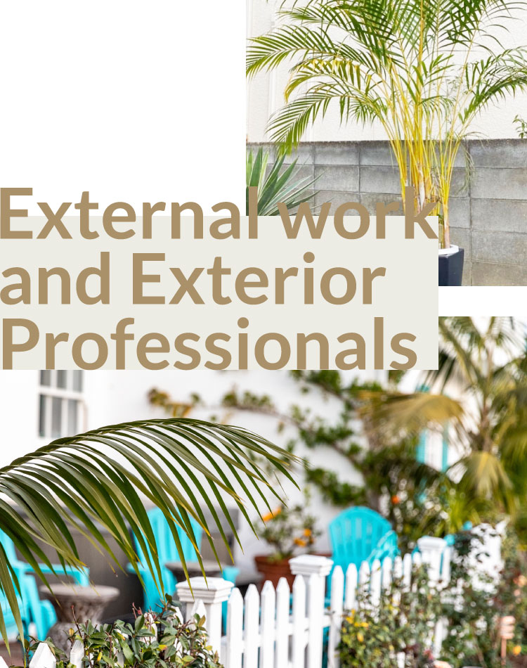 External work and Exterior Professionals